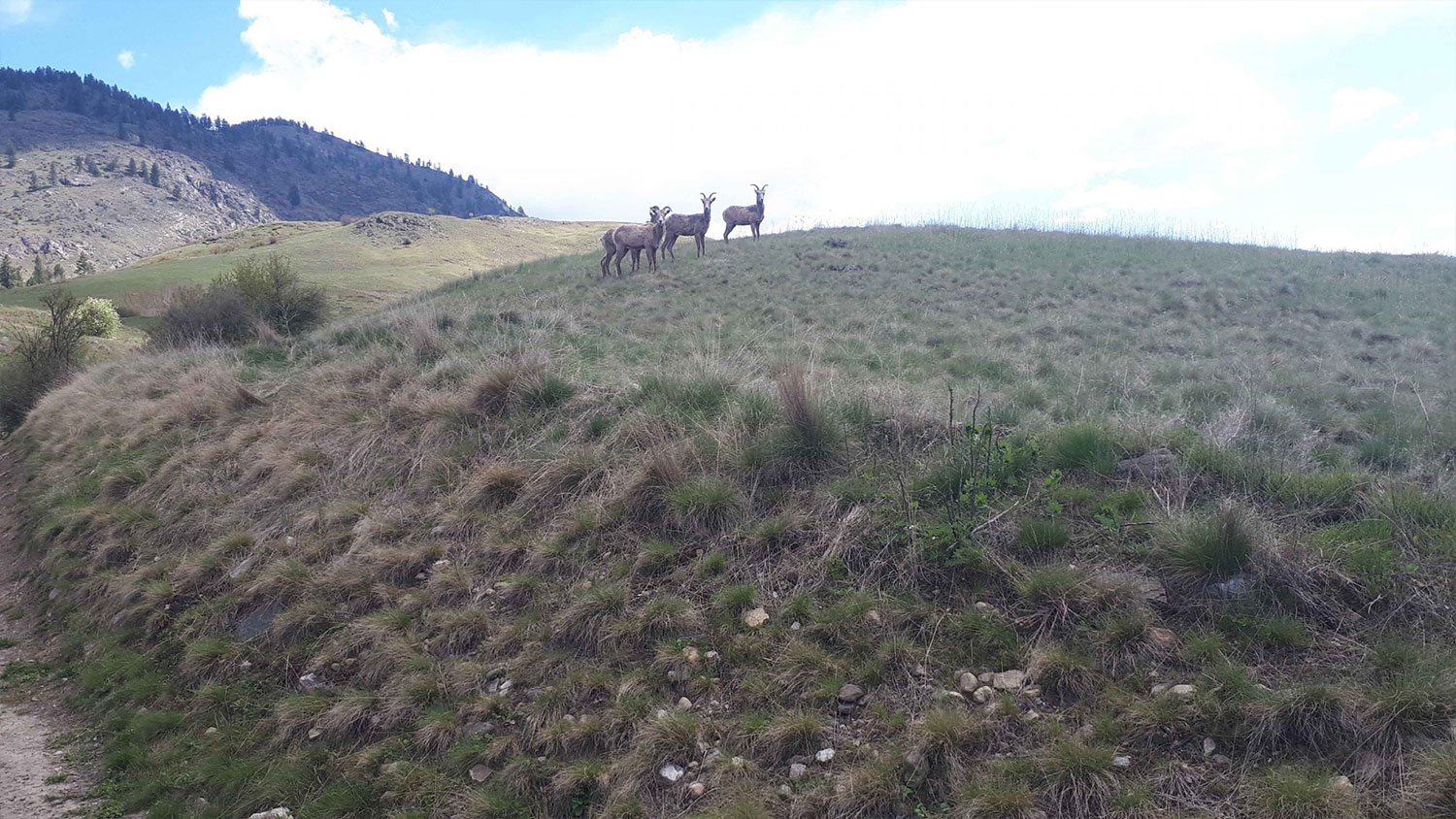 Help Protect Grand Forks Grassland!