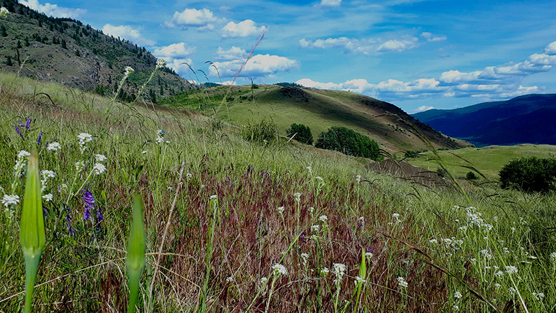 Grassland Mgmt Plan Released