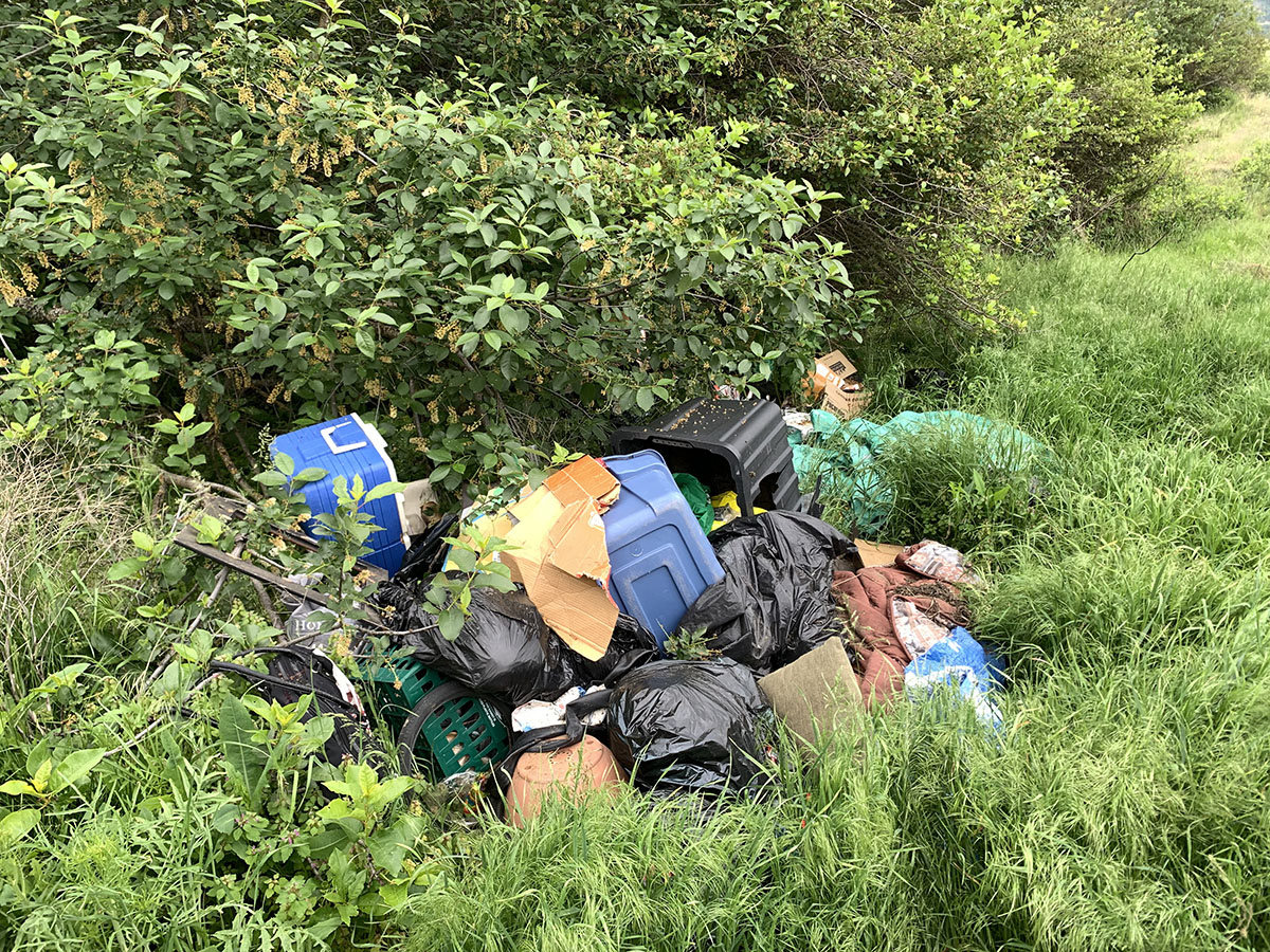 Vehicles & Dumping are Damaging Habitat